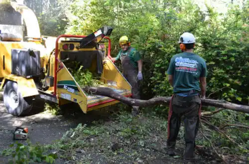 tree services Tuluksak